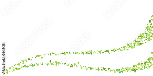 Fototapeta Naklejka Na Ścianę i Meble -  Leaves Green Falling Flying Foliage Leaf Tea Mint