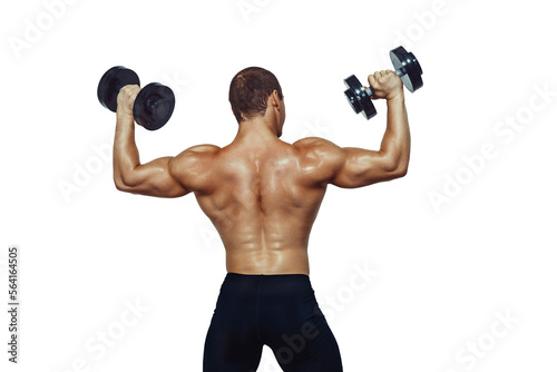 Back view of athletic muscular man doing exercises with dumbbells isolated on white background