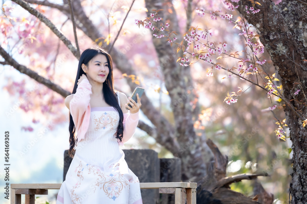 Beautiful woman using smartphone, talking, typing message, chatting, scrolling web page on mobile phone under the pink blossoms cherry tree. Woman selfie and look at camera on sakura background. Beautiful woman using smartphone, talking, typing message, chatting, scrolling web page on mobile phone under the pink blossoms cherry tree. Woman selfie and look at camera on sakura background.