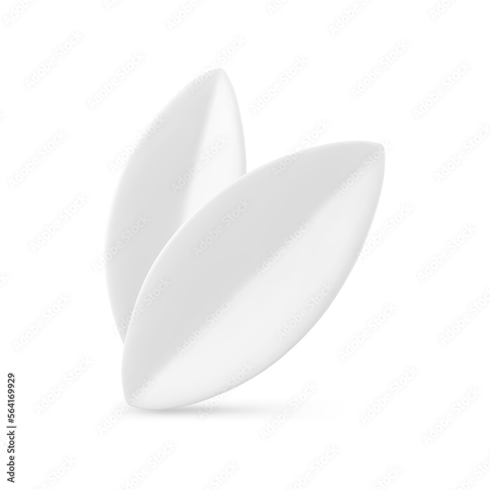 White summer leaves foliage Easter decorative element 3d icon realistic vector illustration White summer leaves foliage Easter decorative element 3d icon realistic vector illustration