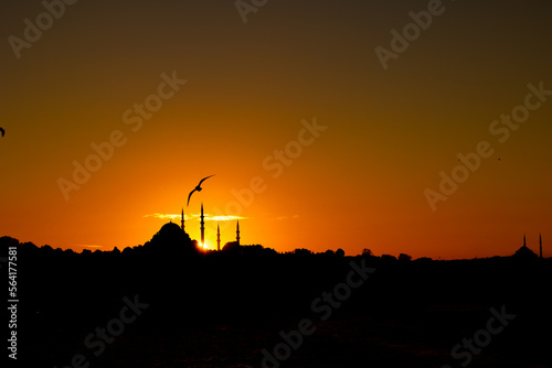 Suleymaniye and Fatih Mosque silhouettes with seagull at sunset.