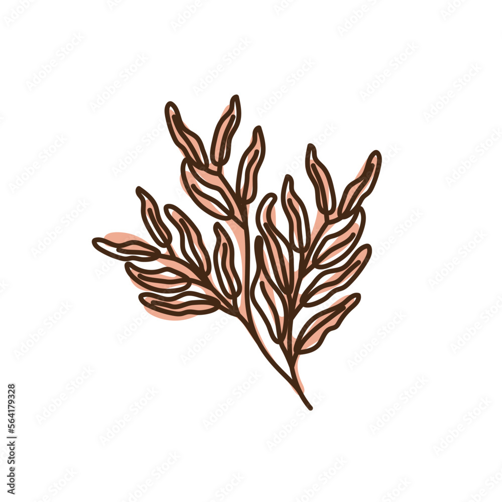 hand drawn shapes and floral leaf design elements. Exotic jungle leaves. Abstract contemporary modern hand drawn shapes and floral leaf design elements. Exotic jungle leaves. Abstract contemporary modern