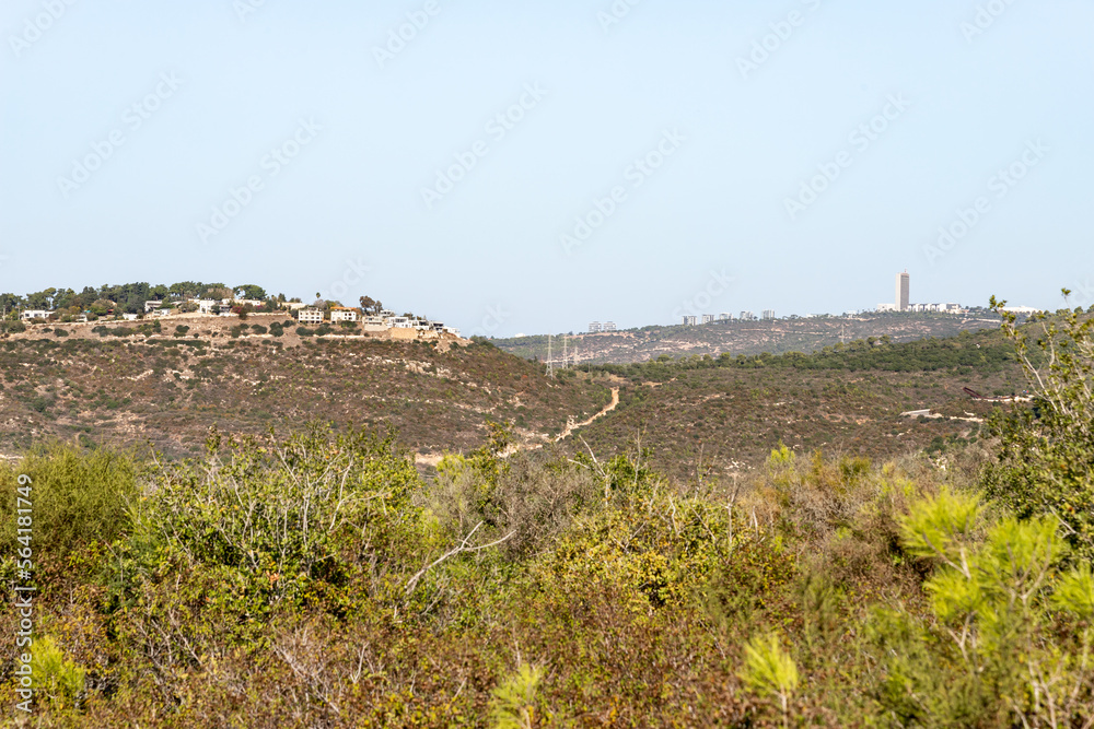 The Carmel  forest near Haifa city in northern Israel