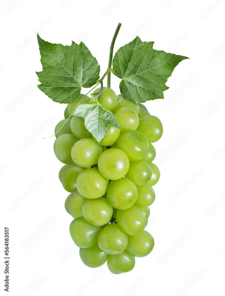 Green Grape with leave on white, Sweet Green Grape isolated on white background PNG File. Green Grape with leave on white, Sweet Green Grape isolated on white background PNG File.