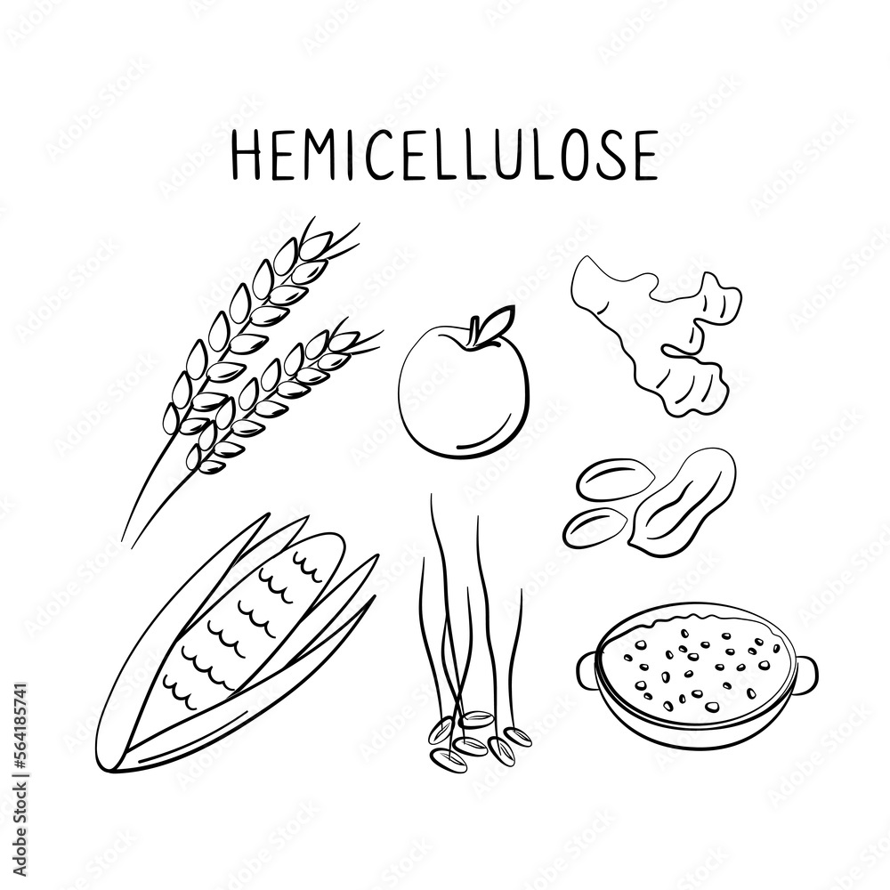 Hemicellulose Chemical Formula