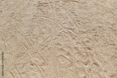 footprints, tire tracks in the sand