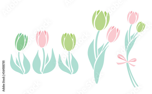 シンプルな春のお花のチューリップの花束イラストセット_ベクター素材_緑ピンク_透過PNG