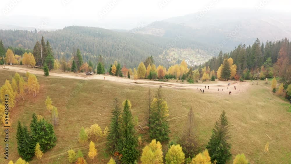 Plenty of beautiful trees of vivid colors as seen from above. Motion aerial wallpaper for remote backcountry getaway destination travel concept. High quality 4k footage Plenty of beautiful trees of vivid colors as seen from above. Motion aerial wallpaper for remote backcountry getaway destination travel concept. High quality 4k footage
