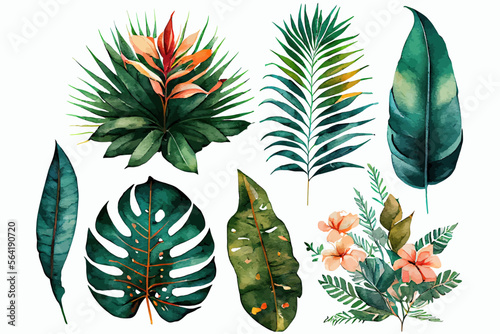 Watercolor tropical floral illustration set. Decorative elements template. Flat cartoon illustration isolated on white background.