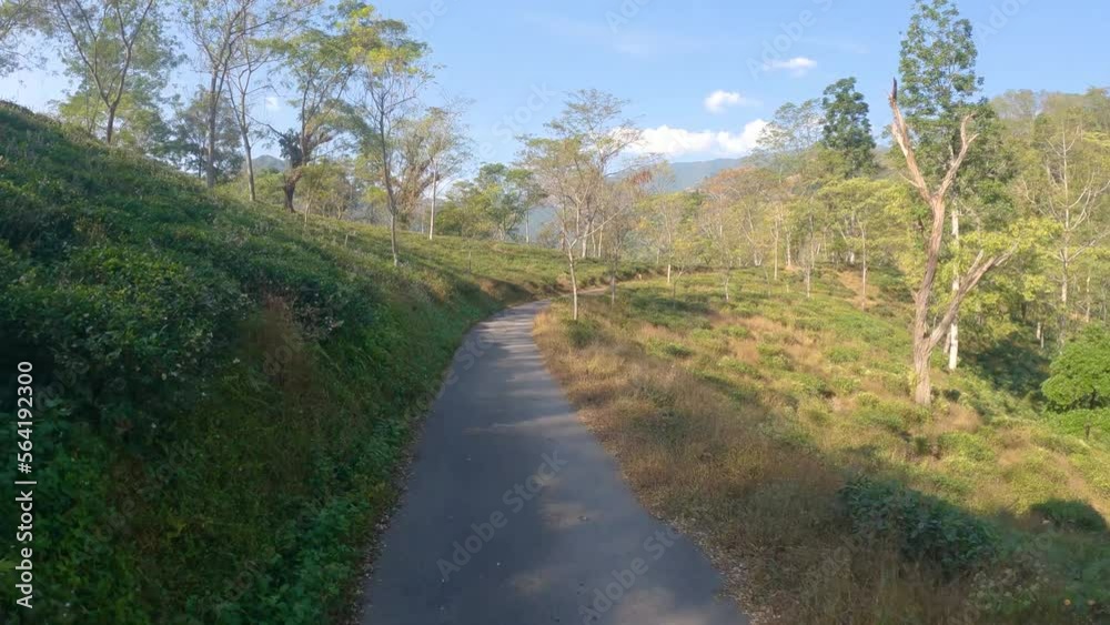 POV of motorcyclist rides on a beautiful mountain road from Kurseong to Darjeeling with layers of mountain in background and tea garden both the sides. POV of motorcyclist rides on a beautiful mountain road from Kurseong to Darjeeling with layers of mountain in background and tea garden both the sides.