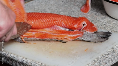 Filleting fresh trout on a cutting board using a sharp knife. Close-up image shows a vibrant orange fillet being skillfully sliced. Ideal for cooking and culinary content.