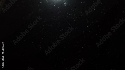 Snowfall Against Dark Sky with Falling Snowflakes

