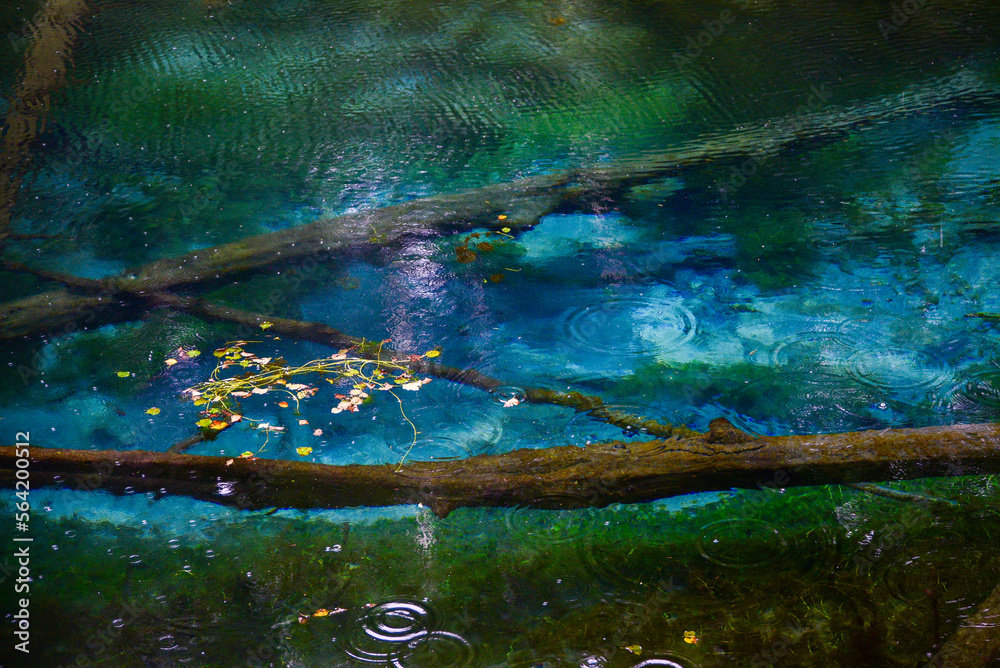 北海道にある青い池のひとつ神の子池
