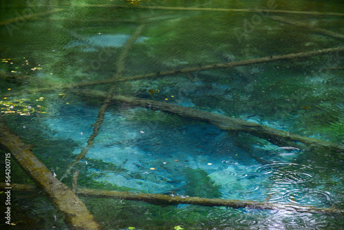 Fototapeta Naklejka Na Ścianę i Meble -  北海道にある青い池のひとつ神の子池