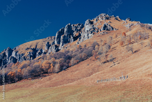 alpine landscape in the autumn time
