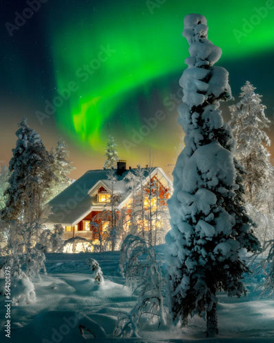 Beautiful winter night with Northern lights (aurora borealis) in the sky, deep snow covered trees and wooden hut in foreground. (high ISO image) photo