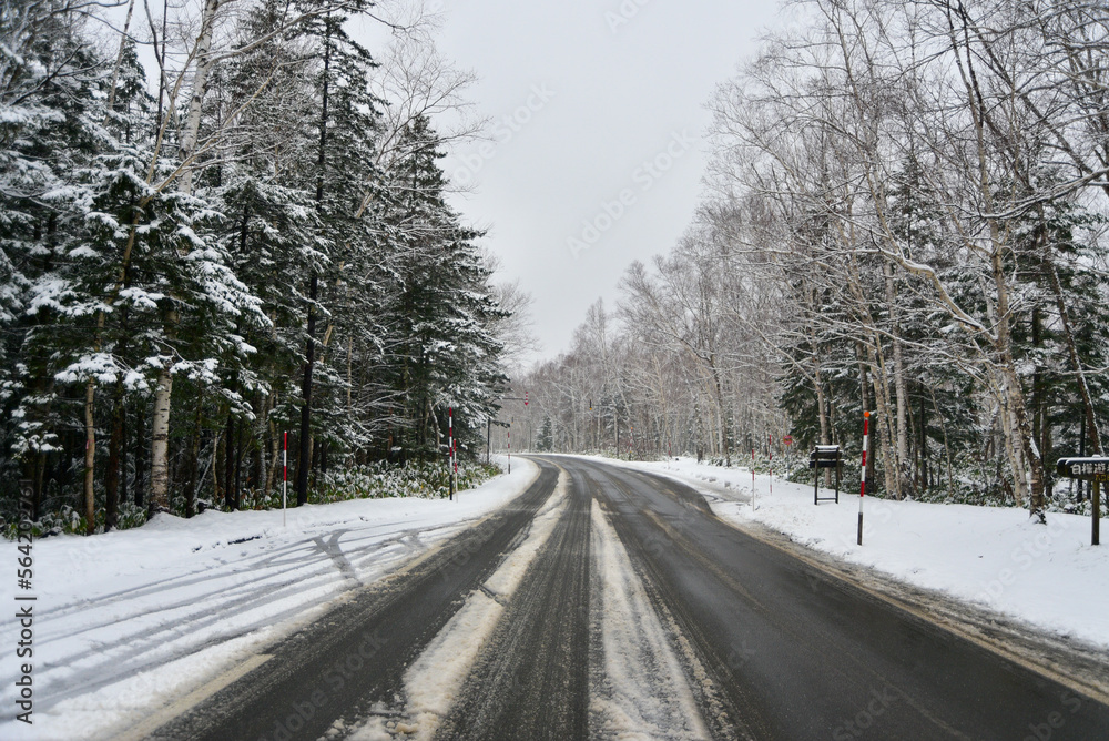 Obraz premium 積雪のある道路