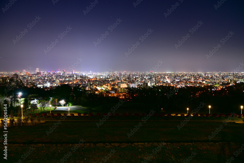 Obraz premium 旭山記念公園から眺める札幌の夜景