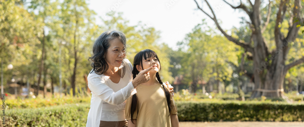 Naklejka premium Happy granddaughter and her grandmother at summer park, family, leisure and people concept