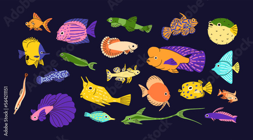 Cute underwater fishes set. Ocean and sea water animals of different color, multicolored pattern. Tropical marine small creatures, species. Exotic aquatic fauna. Isolated flat vector illustrations