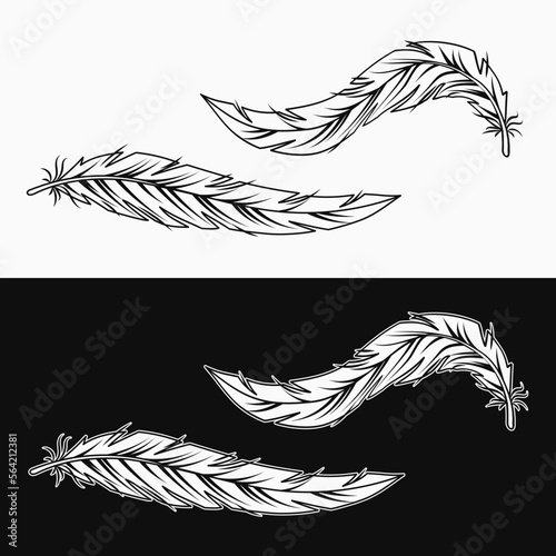 Wavy bent black and white feathers. Vector illustration in vintage style on black, white background.