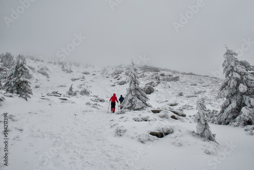 A couple of hikers climb uphill in the winter mountains. Winter tourism.
