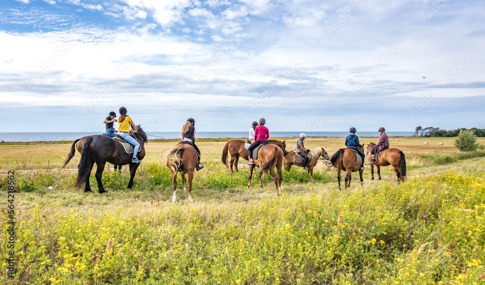 Fototapeta premium reiter am meer