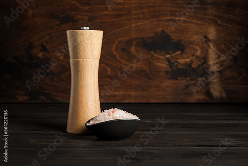 Coarse sea salt and a salt and pepper mill on wooden background, copy space