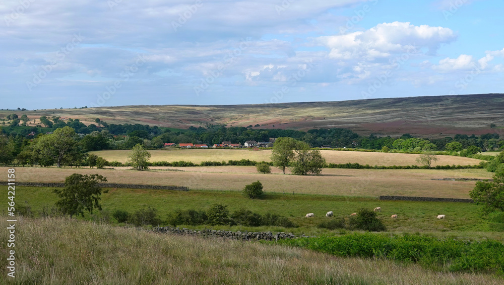 A beautiful tranquil view across the North York Moors, Yorkshire, England, UK. 