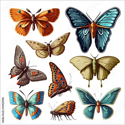 Realistic butterflies set. Flying insects, delicate moths species with multicolored wings collection. Isolated on background. Vector illustration