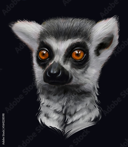 Realistic digital painting of a Lemur. Wild animal face. Raster African Madagascar cute dancing lemur head portrait. Realistic fur portrait of Sifaka Lemur isolated on black background.