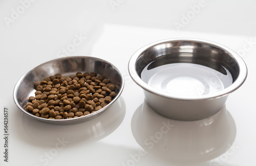 Cat food and water in metallic bowls