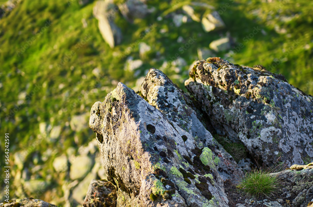 Carpathian mountain landscape Carpathian mountain landscape