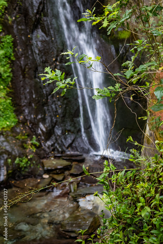 Selective focus on green leaves with blurred waterfall image in Fraga da Pena, Pardieiros PORTUGAL photo