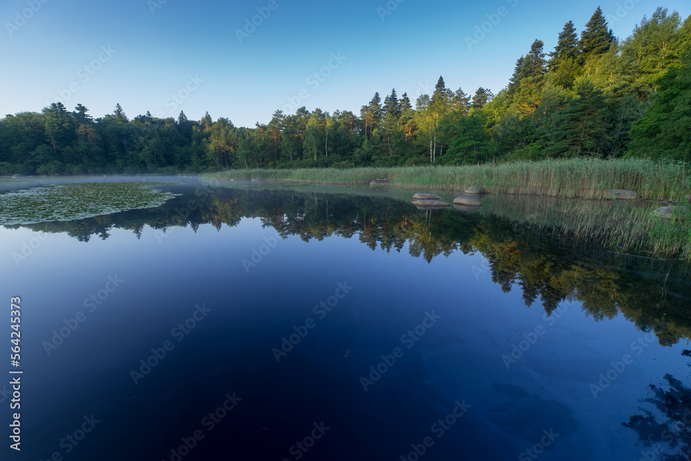Obraz premium lac de l'oiseau