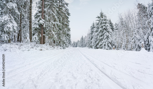 Snowy trees on a winter mountain road coverd by thick snow layer used as skiing slope during winter. Heavy snowfall coverd the land © Igor