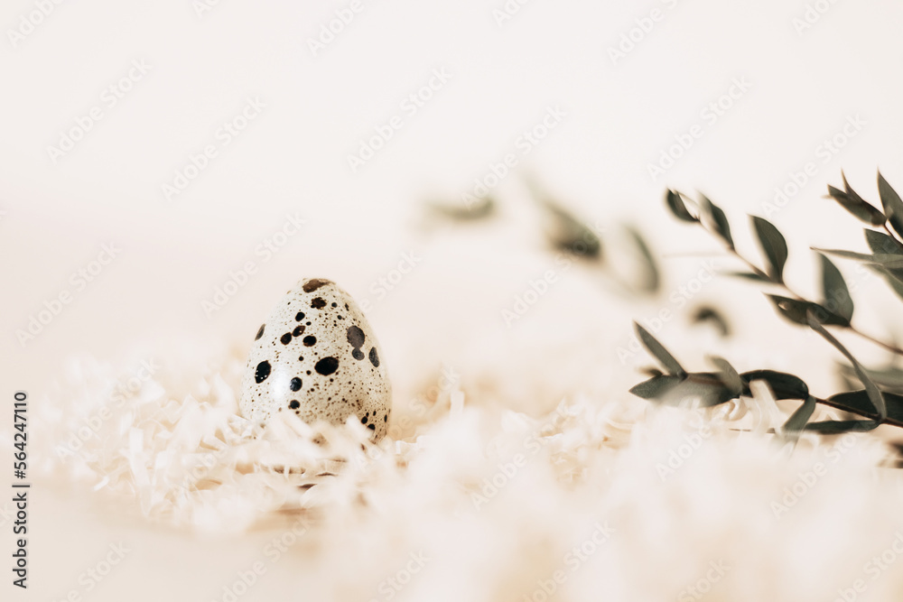 Obraz premium Quail egg in nest on pastel background. Copy space.