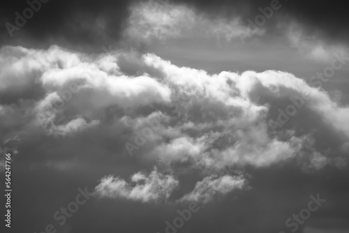 Storm clouds, black and white photograph of a storm cumulus ninbo,