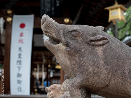 Stone Pig at Japanese Temple © Edward Lee