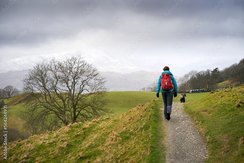 Fototapeta premium A hiker and their dog walking along the narrow road, track, that leads to High Skelghyll Farm on a cold winters morning in the Lake District Cumbrian Mountains, England, UK.
