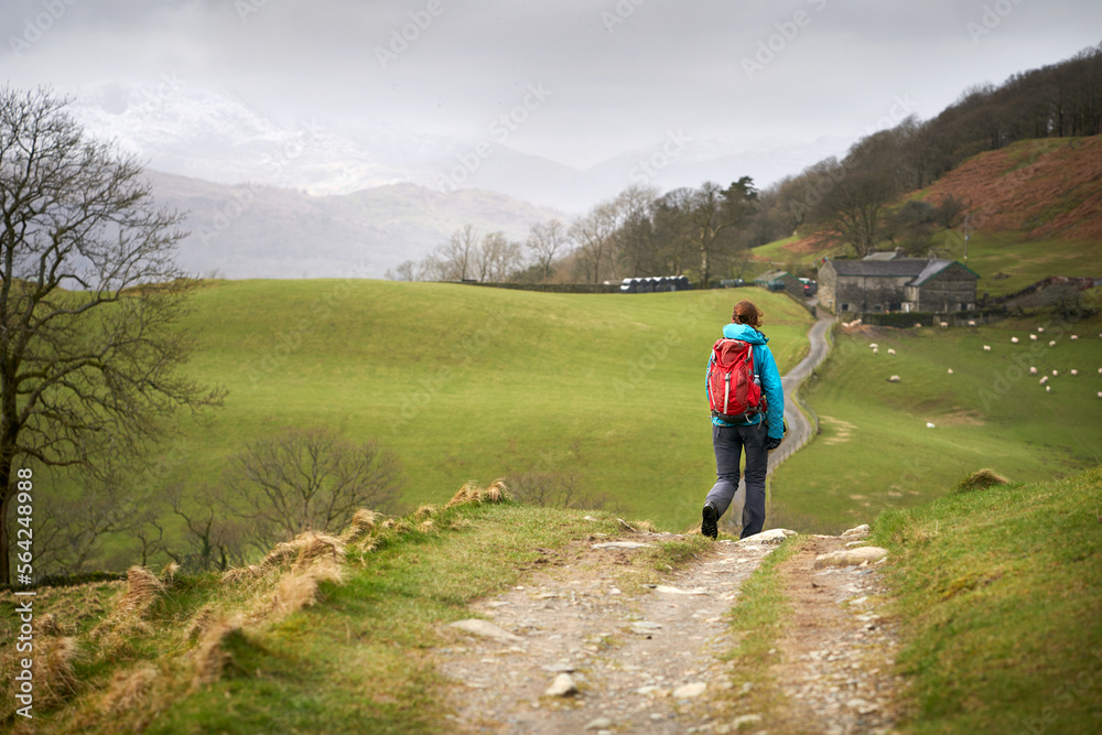A hiker walking along the narrow road, track, that leads to High Skelghyll Farm on a cold winters morning in the Lake District Cumbrian Mountains, England, UK.