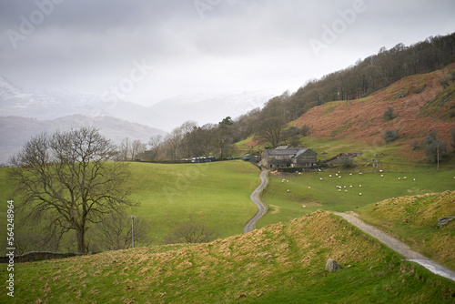 The narrow road, track, that leads to High Skelghyll Farm on a cold winters morning in the Lake District Cumbrian Mountains, England, UK. photo