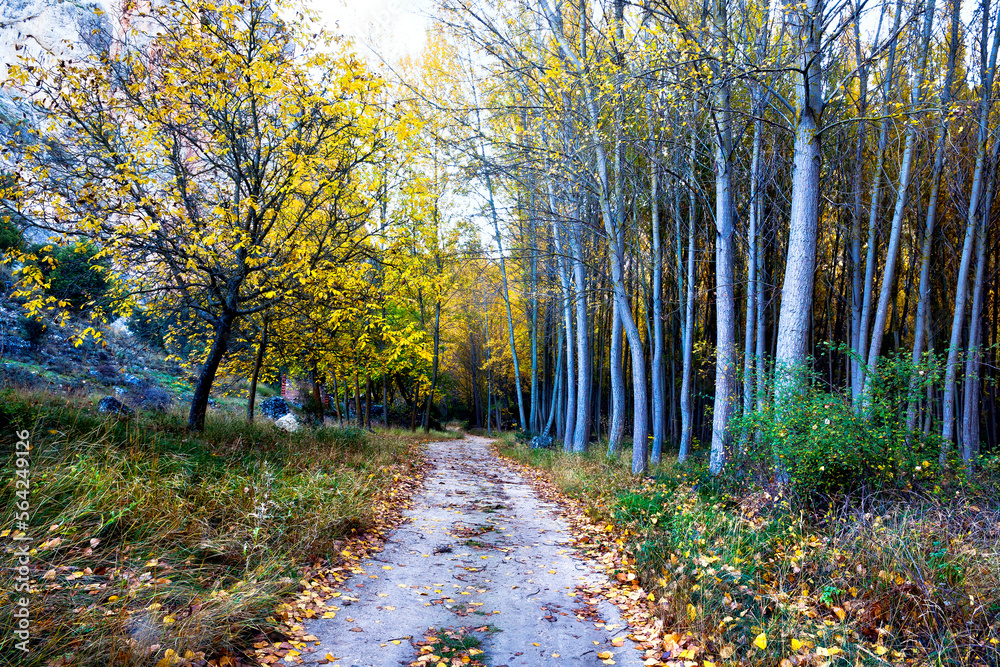 Camino de Sigüenza Camino de Sigüenza