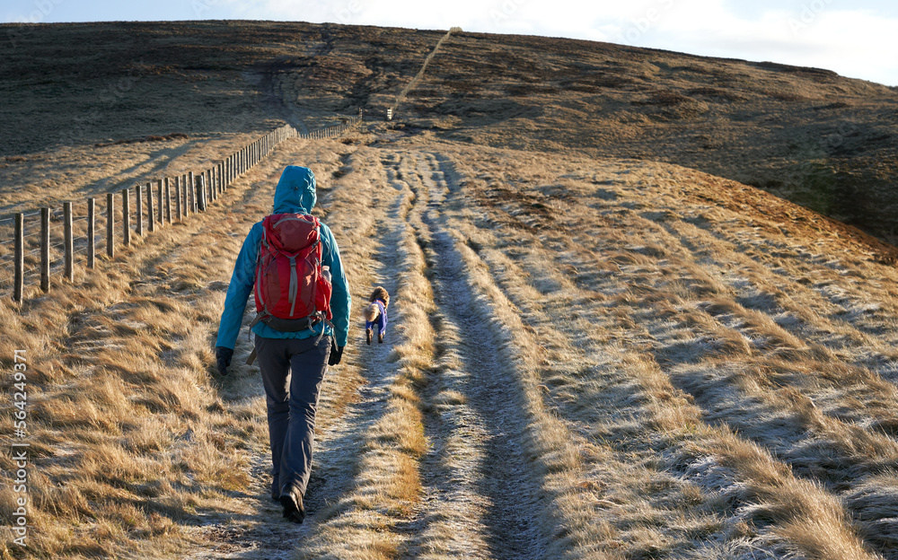 A hiker and their dog at Windy Rig below the summit of Windy Gyle on a sunny but frosty winters morning sunrise in the Northumberland Cheviot mountains, UK.