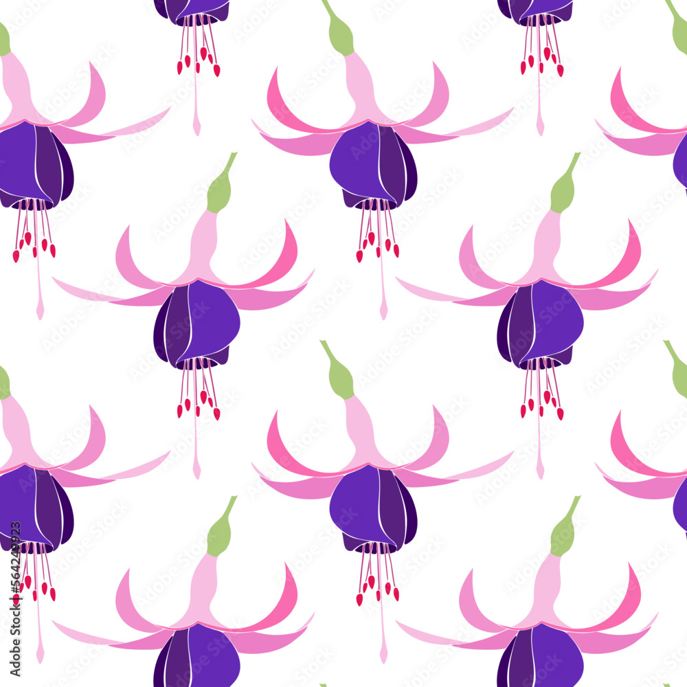 Pattern Pink and Purple Fuchsia Bella. Vector illustration