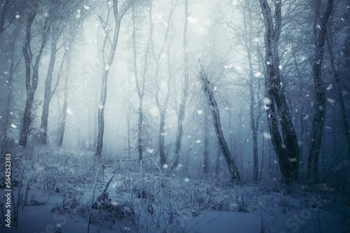 snow falling in woods, fantasy winter landscape