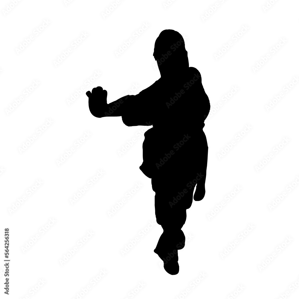 silhouette of a kungfu martial arts moves with transparent background silhouette of a kungfu martial arts moves with transparent background