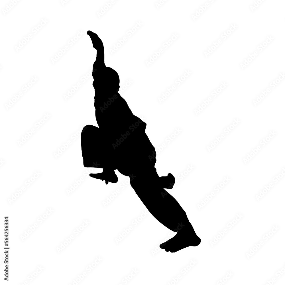 silhouette of a kungfu martial arts moves with transparent background silhouette of a kungfu martial arts moves with transparent background
