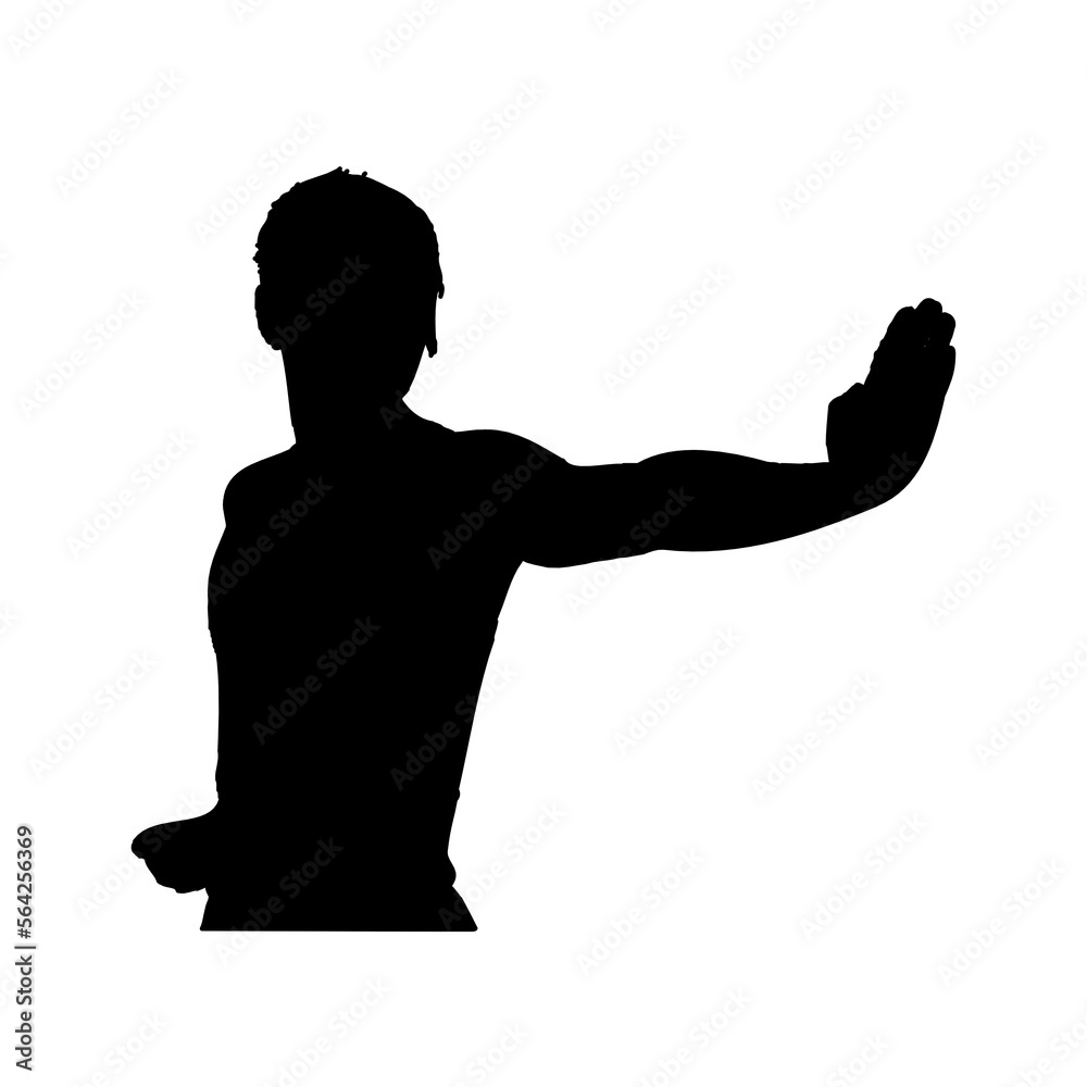 silhouette of a kungfu martial arts moves with transparent background