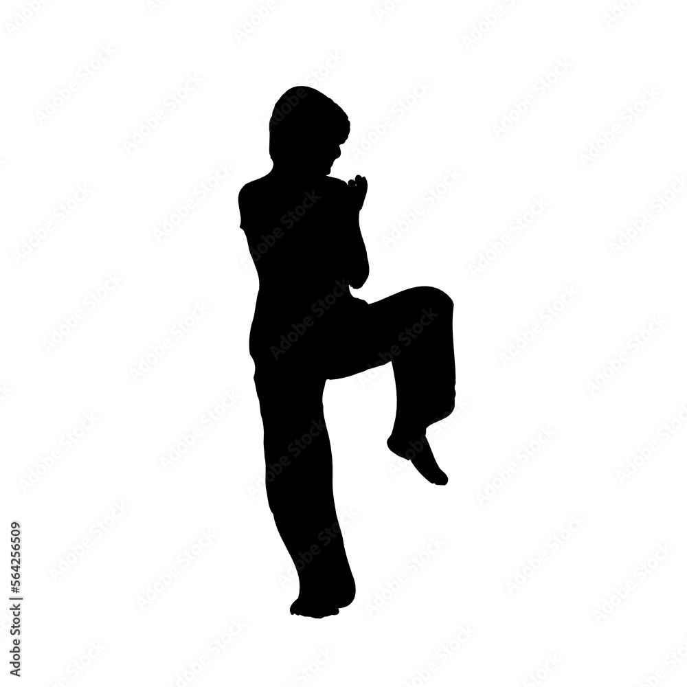 silhouette of a kungfu martial arts moves with transparent background